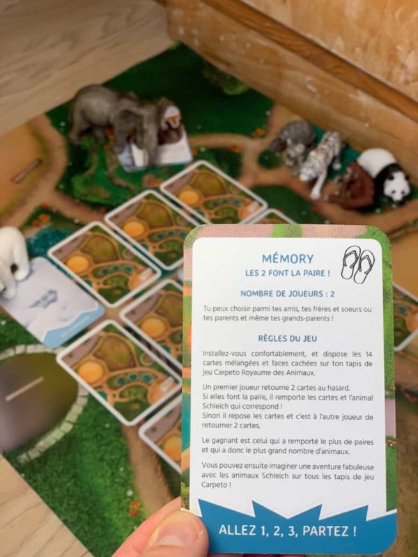 Carpeto memory game for protected species kit